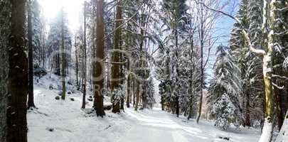 Panoramic view of a mountain roud on winter