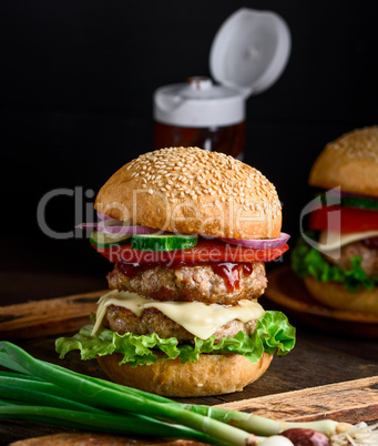 double cheeseburger in a bun with sesame seeds