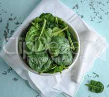 fresh green spinach leaves in a white ceramic mortar