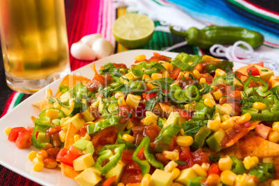 Close up of nachos salad