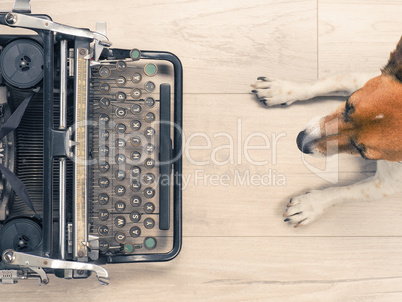 Cute dog with an old typewriter