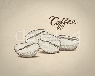 Coffee beans sketch. Drink coffee banner. Line art food label