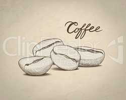Coffee beans sketch. Drink coffee banner. Line art food label