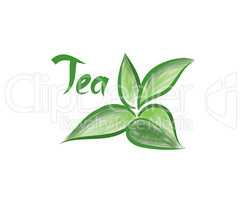Green tea tree branch herb label with lettering TEA. Tea leaves