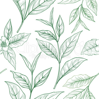 Tea branch floral seamless pattern. Tea leaves background