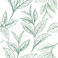Tea branch floral seamless pattern. Tea leaves background