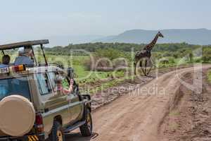Masai giraffe crosses dirt track past jeep