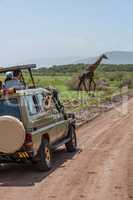 Masai giraffe crossing dirt track past jeep