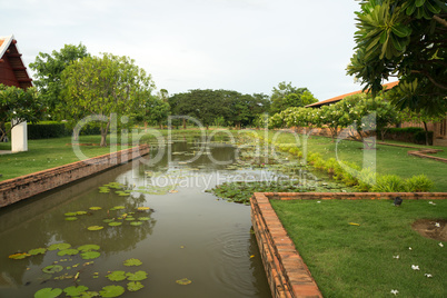 canal with water lilies in sukhothai