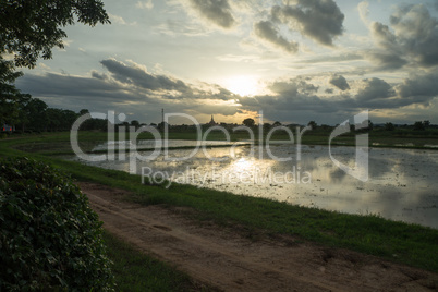 rice field in Sukhothai in thailand in sunset