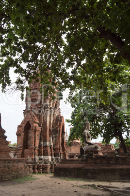 ruin in the temple complex What Maha That in Ayutthaya