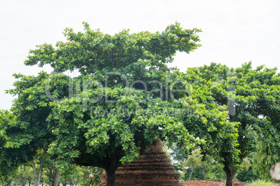 ruins in the temple complex Phra Sri Sanpet in Ayutthaya