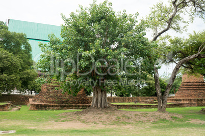 ruins in the temple complex Phra Sri Sanpet in Ayutthaya