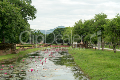 canal with water lilies in the historical park in sukhothai
