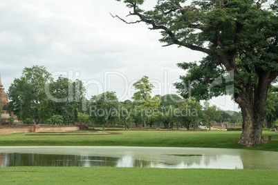 ruins in the historical park in sukhothai