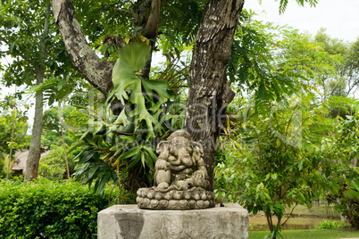 Visit to the garden in Yungkhao