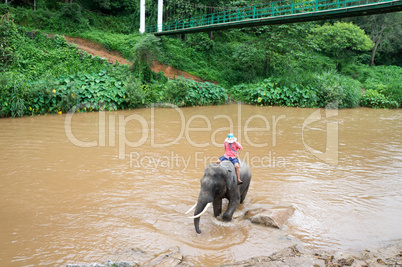 Maetaeng Elephant Park - bathing elephant in the Mae Taeng Rive