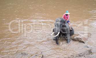 Maetaeng Elephant Park - bathing elephant in the Mae Taeng Rive