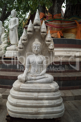 Round trip thailand july 2017 - Lampang- Luang Temple