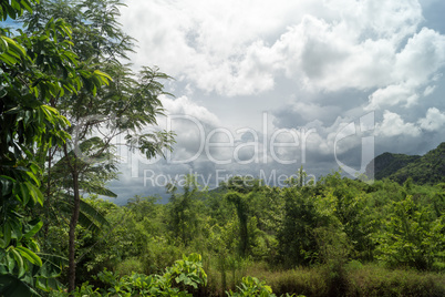 sweeping monsoon - view into the landscape - 2