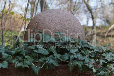 stone ball with ivy ranks