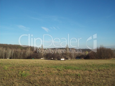 Field outside the city, agriculture plants