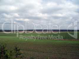 Field outside the city, agriculture plants