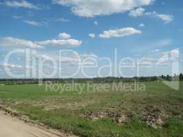 Field outside the city, agriculture plants