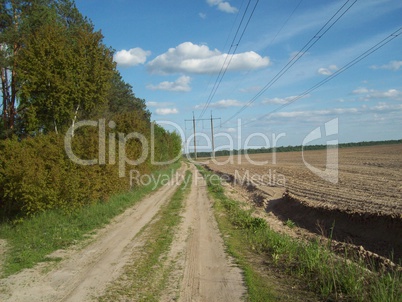 Field outside the city, agriculture plants