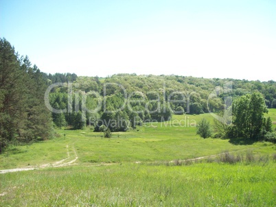 Field outside the city, agriculture plants