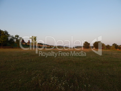 Field outside the city, agriculture plants