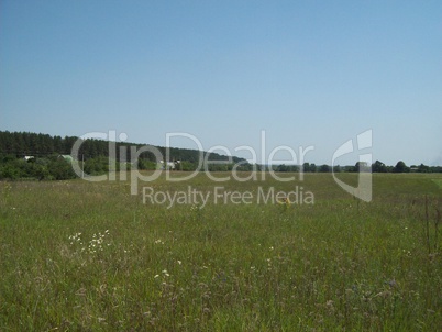 Field outside the city, agriculture plants