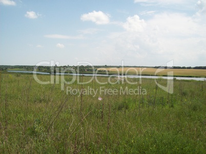 Field outside the city, agriculture plants