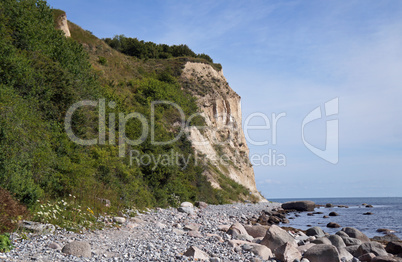 chalk Cliffs of the island Rügen in Germany