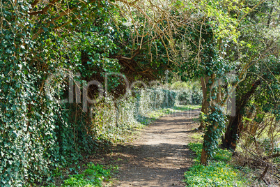 natural arch over a path