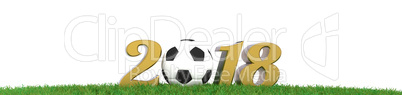 Soccer ball on grass panorama, 3d rendering