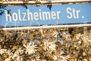 Magnolia blossom with German street sign