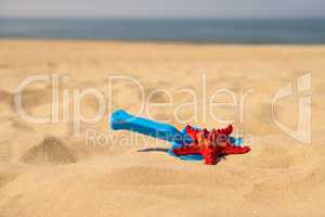 shovel with sea star on a sandy beach