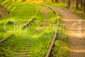 rails out of order overgrown with green grass