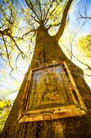 icon on a tree in Poland