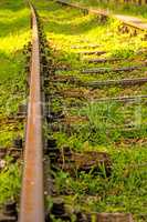 rails overgrown with green grass