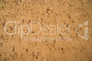 Pebbles on a beach of the Baltic sea