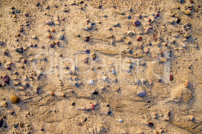 Pebbles on a beach of the Baltic sea Pebbles on a beach of the Baltic sea