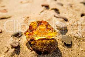 Amber on a beach of the Baltic Sea