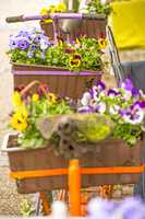 bicycle with flowers at a street cafe