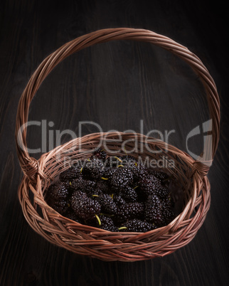 Still Life with Mulberry.