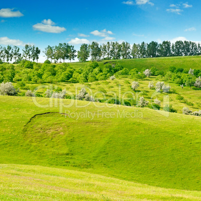 hilly field and blue sky