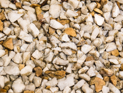 Background of white pebbles, and light browns.