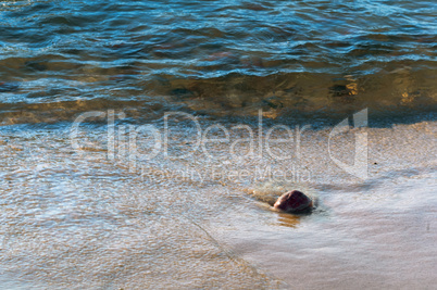 sea wave and stones, small stone on the sand, sea coast with stones