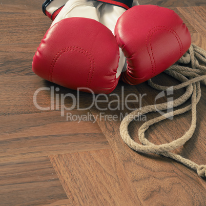 Boxing gloves with skipping rope on wood